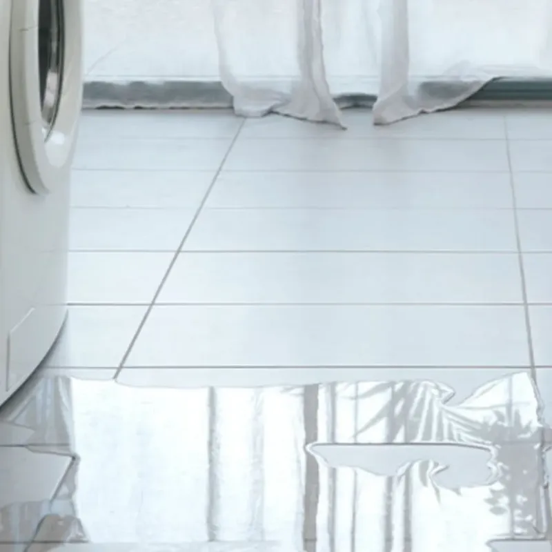 Appliance Leak Cleanup in Indianola, WA