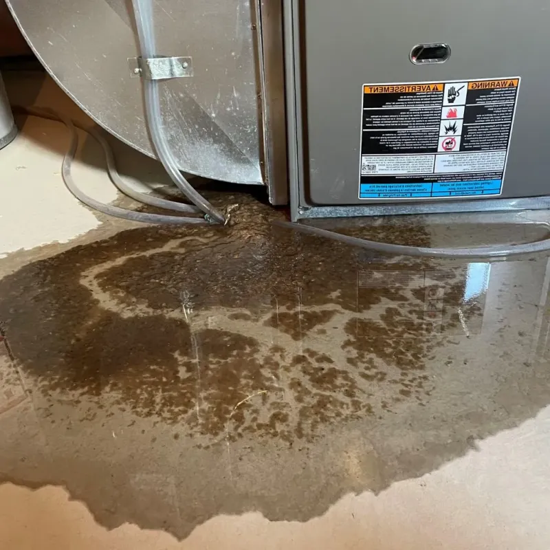 Pipe Burst and Leak Restoration in Indianola, WA