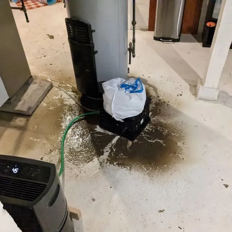 Sewage Backup Cleanup Service in Indianola, WA